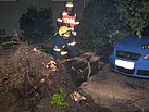 Dieser Baum beschädigte ein Fahrzeug und versperrte einen Hauseingang
